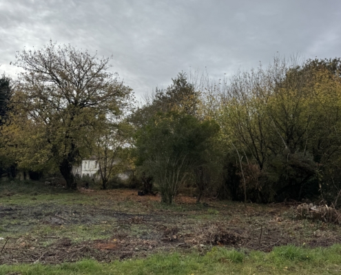 IMG-3-SITE