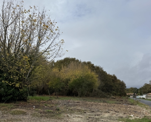IMG_1-site